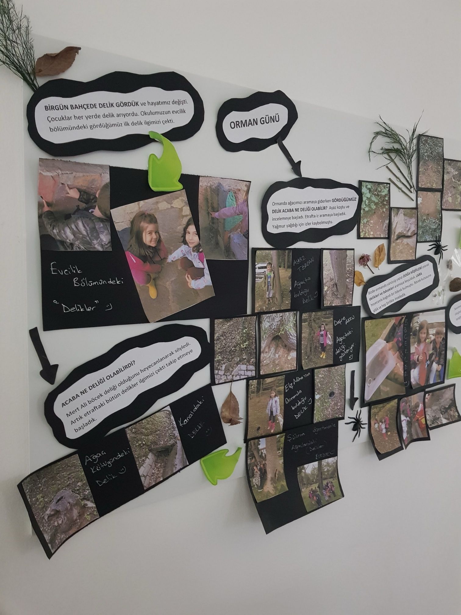 Fen ve Doğa Keşfi Programı
